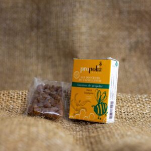 Propolia Propolis Pastilles Eucalyptus BIO – Frisse Keelverzorging | Imkerij Keiberg