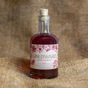 GinEdward Cherry Honing Gin – Gin met Kers & Honing