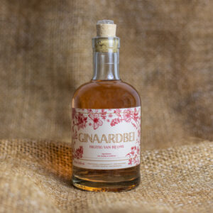 Aardbei Honing Gin – Fruitige Gin met Aardbei & Honing